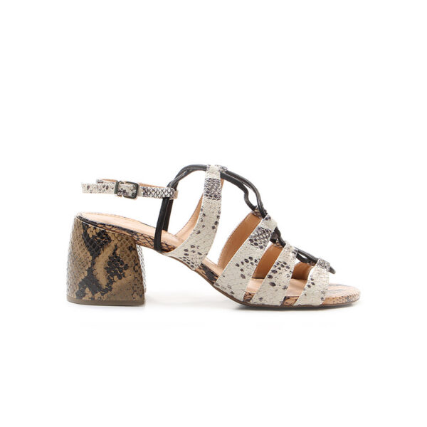 Marni