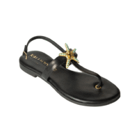 KAL30125BLK.png Starfish B