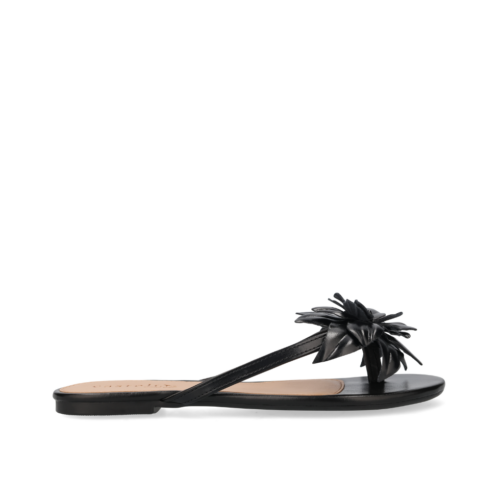 LF25S131293BLK1.png DeLand B